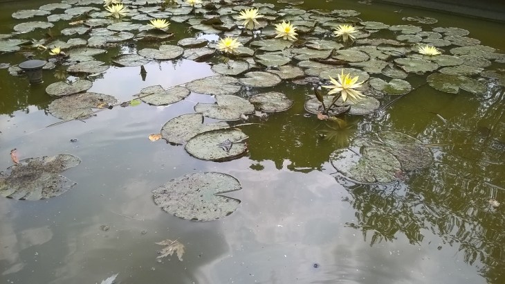 WP_20170709_14_08_53_Pro