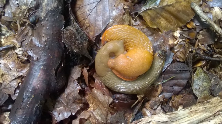 WP_20170803_09_06_45_Pro